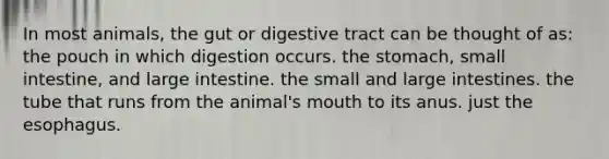 In most animals, the gut or digestive tract can be thought of as: the pouch in which digestion occurs. the stomach, small intestine, and large intestine. the small and large intestines. the tube that runs from the animal's mouth to its anus. just the esophagus.