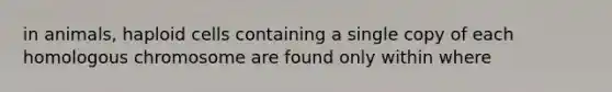 in animals, haploid cells containing a single copy of each homologous chromosome are found only within where