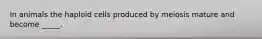 In animals the haploid cells produced by meiosis mature and become _____.