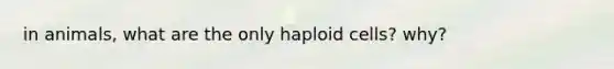 in animals, what are the only haploid cells? why?