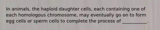 In animals, the haploid daughter cells, each containing one of each homologous chromosome, may eventually go on to form egg cells or sperm cells to complete the process of ___________.