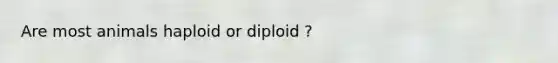 Are most animals haploid or diploid ?