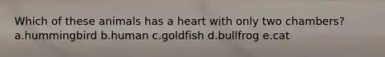 Which of these animals has a heart with only two chambers? a.hummingbird b.human c.goldfish d.bullfrog e.cat