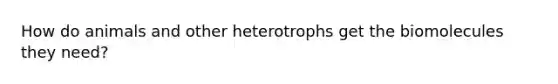 How do animals and other heterotrophs get the biomolecules they need?