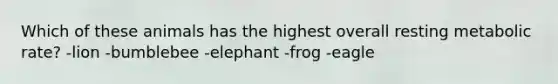 Which of these animals has the highest overall resting metabolic rate? -lion -bumblebee -elephant -frog -eagle