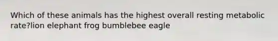 Which of these animals has the highest overall resting metabolic rate?lion elephant frog bumblebee eagle