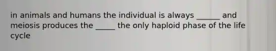 in animals and humans the individual is always ______ and meiosis produces the _____ the only haploid phase of the life cycle