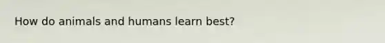How do animals and humans learn best?