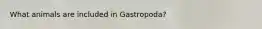 What animals are included in Gastropoda?