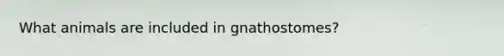 What animals are included in gnathostomes?