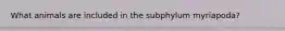 What animals are included in the subphylum myriapoda?