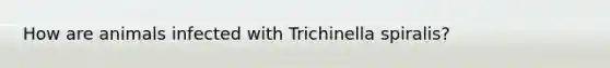 How are animals infected with Trichinella spiralis?