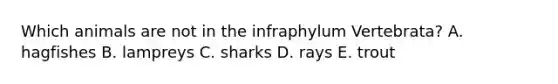 Which animals are not in the infraphylum Vertebrata? A. hagfishes B. lampreys C. sharks D. rays E. trout