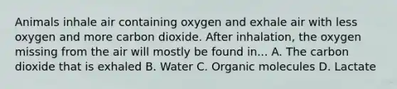 Animals inhale air containing oxygen and exhale air with less oxygen and more carbon dioxide. After inhalation, the oxygen missing from the air will mostly be found in... A. The carbon dioxide that is exhaled B. Water C. Organic molecules D. Lactate