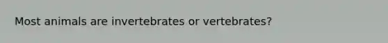 Most animals are invertebrates or vertebrates?