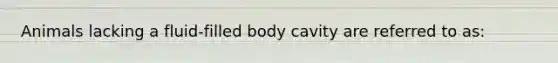 Animals lacking a fluid-filled body cavity are referred to as: