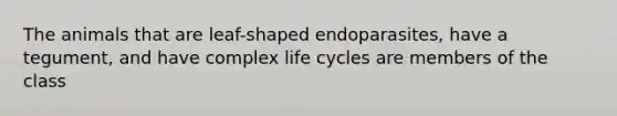 The animals that are leaf-shaped endoparasites, have a tegument, and have complex life cycles are members of the class