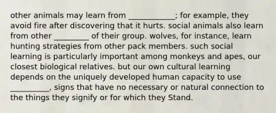 other animals may learn from ____________; for example, they avoid fire after discovering that it hurts. social animals also learn from other _________ of their group. wolves, for instance, learn hunting strategies from other pack members. such social learning is particularly important among monkeys and apes, our closest biological relatives. but our own cultural learning depends on the uniquely developed human capacity to use __________, signs that have no necessary or natural connection to the things they signify or for which they Stand.