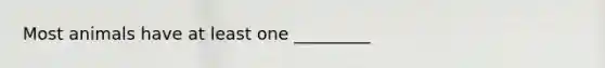 Most animals have at least one _________