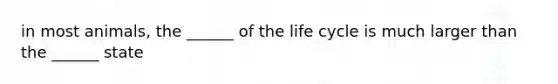 in most animals, the ______ of the life cycle is much larger than the ______ state