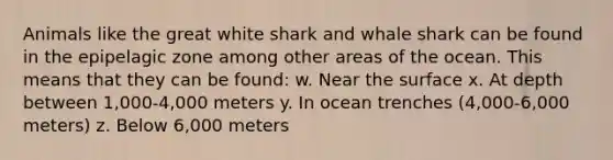 Animals like the great white shark and whale shark can be found in the epipelagic zone among other areas of the ocean. This means that they can be found: w. Near the surface x. At depth between 1,000-4,000 meters y. In ocean trenches (4,000-6,000 meters) z. Below 6,000 meters