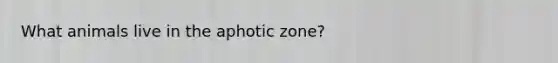 What animals live in the aphotic zone?