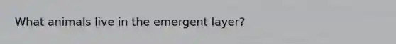 What animals live in the emergent layer?