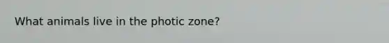 What animals live in the photic zone?