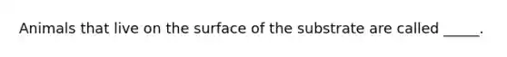 Animals that live on the surface of the substrate are called _____.