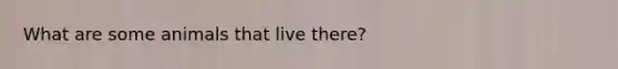 What are some animals that live there?