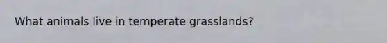 What animals live in temperate grasslands?