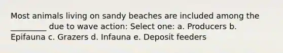 Most animals living on sandy beaches are included among the _________ due to wave action: Select one: a. Producers b. Epifauna c. Grazers d. Infauna e. Deposit feeders