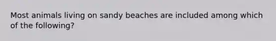 Most animals living on sandy beaches are included among which of the following?