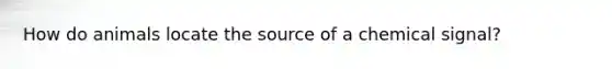 How do animals locate the source of a chemical signal?
