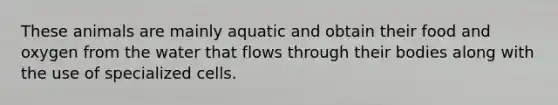 These animals are mainly aquatic and obtain their food and oxygen from the water that flows through their bodies along with the use of specialized cells.