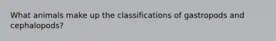 What animals make up the classifications of gastropods and cephalopods?