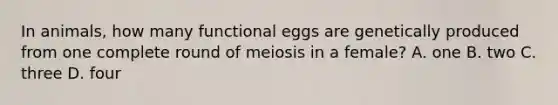 In animals, how many functional eggs are genetically produced from one complete round of meiosis in a female? A. one B. two C. three D. four