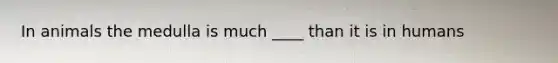 In animals the medulla is much ____ than it is in humans