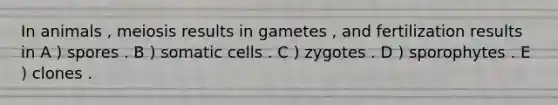 In animals , meiosis results in gametes , and fertilization results in A ) spores . B ) somatic cells . C ) zygotes . D ) sporophytes . E ) clones .