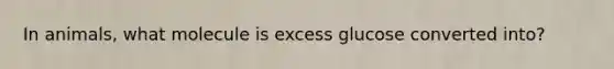 In animals, what molecule is excess glucose converted into?