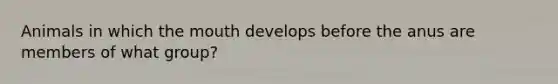 Animals in which the mouth develops before the anus are members of what group?