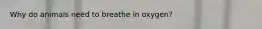 Why do animals need to breathe in oxygen?