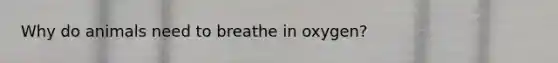 Why do animals need to breathe in oxygen?