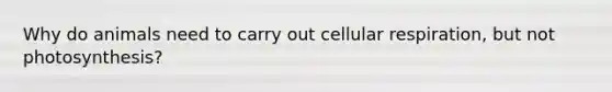 Why do animals need to carry out <a href='https://www.questionai.com/knowledge/k1IqNYBAJw-cellular-respiration' class='anchor-knowledge'>cellular respiration</a>, but not photosynthesis?