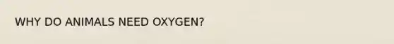 WHY DO ANIMALS NEED OXYGEN?