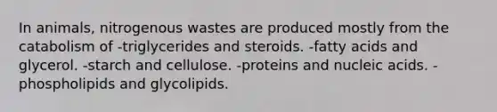 In animals, nitrogenous wastes are produced mostly from the catabolism of -triglycerides and steroids. -fatty acids and glycerol. -starch and cellulose. -proteins and nucleic acids. -phospholipids and glycolipids.