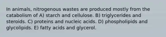 In animals, nitrogenous wastes are produced mostly from the catabolism of A) starch and cellulose. B) triglycerides and steroids. C) proteins and nucleic acids. D) phospholipids and glycolipids. E) fatty acids and glycerol.