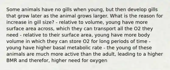 Some animals have no gills when young, but then develop gills that grow later as the animal grows larger. What is the reason for increase in gill size? - relative to volume, young have more surface area across, which they can transport all the O2 they need - relative to their surface area, young have more body volume in which they can store O2 for long periods of time - young have higher basal metabolic rate - the young of these animals are much more active than the adult, leading to a higher BMR and therefor, higher need for oxygen