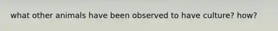 what other animals have been observed to have culture? how?
