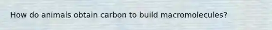 How do animals obtain carbon to build macromolecules?
